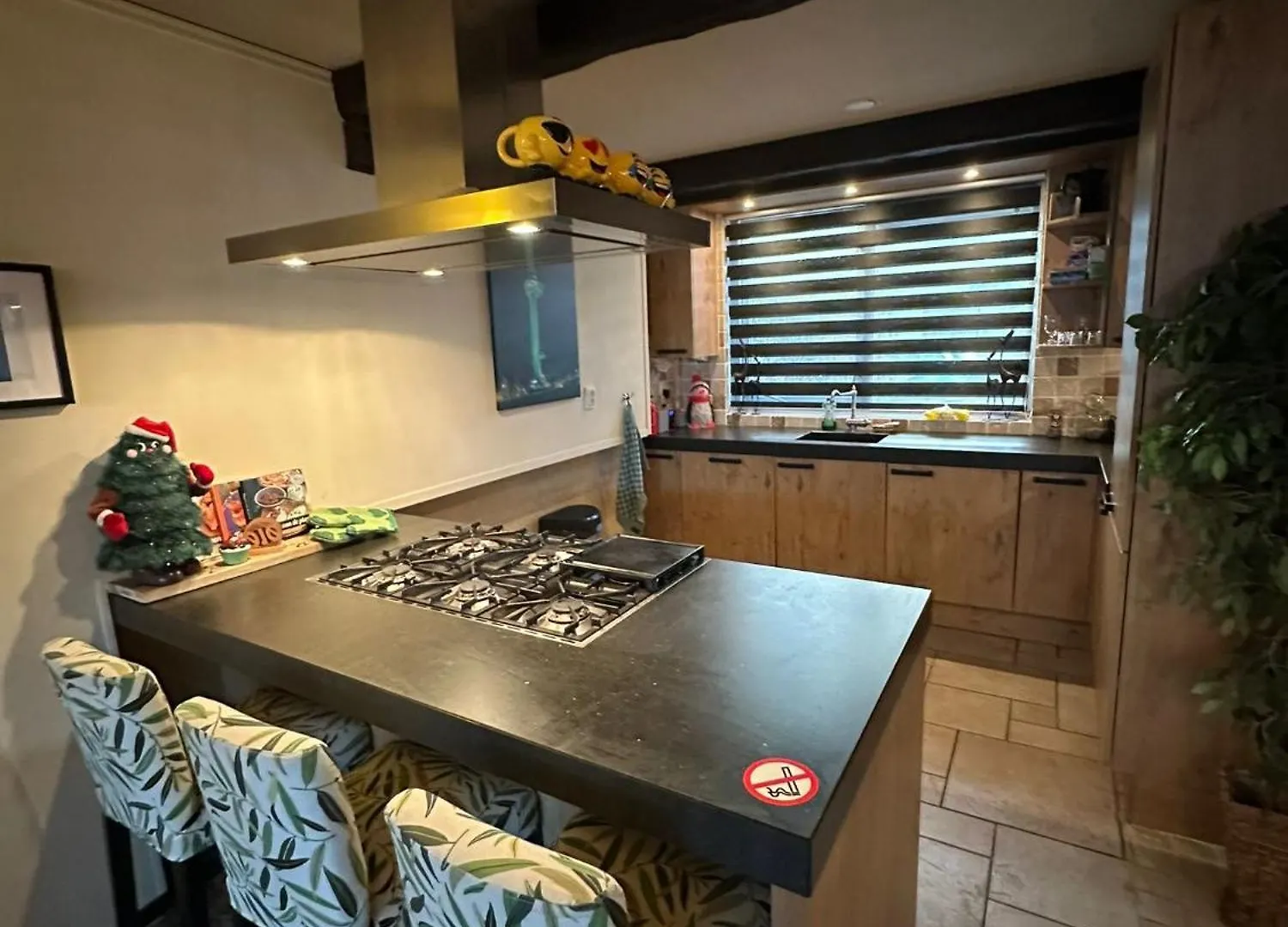 Rotterdam Luxury House Villa 0*,  Netherlands